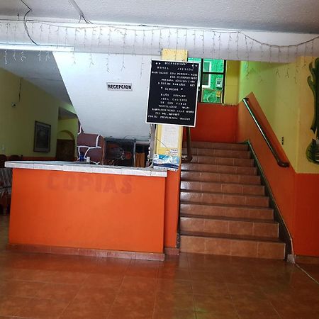 Hotel Avenida Tuxtla Gutiérrez Εξωτερικό φωτογραφία